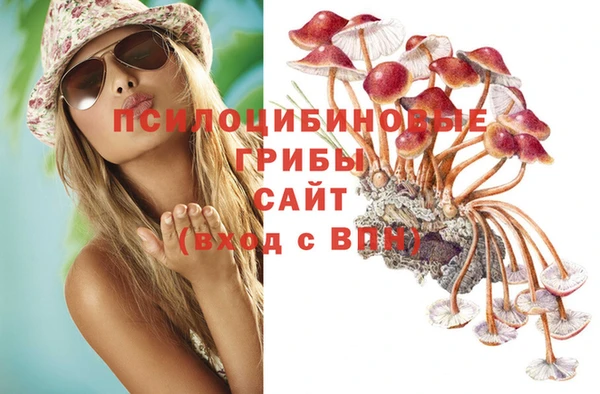 таблы Алзамай