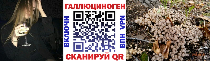 Галлюциногенные грибы Magic Shrooms  где найти наркотики  Светлоград 