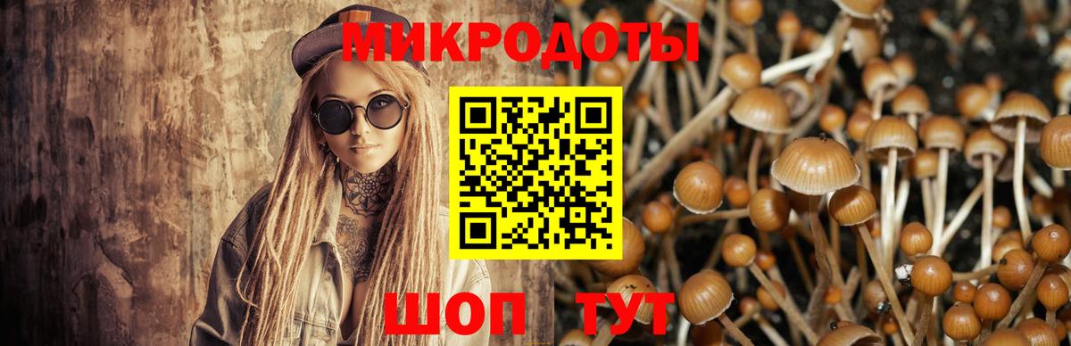Псилоцибиновые грибы мицелий Светлоград